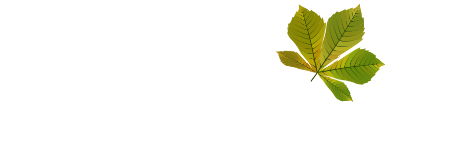 Brend Stueble Bad Neustadt